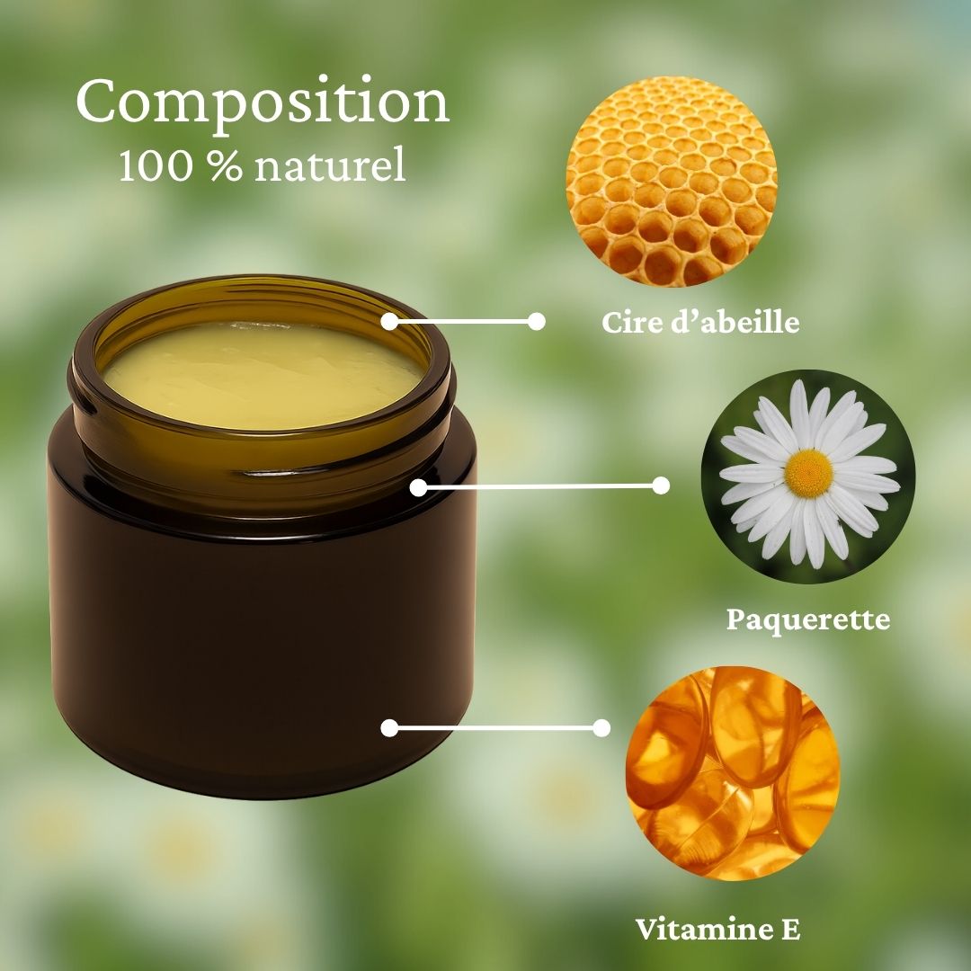 Baume Pâquerette anti-âge