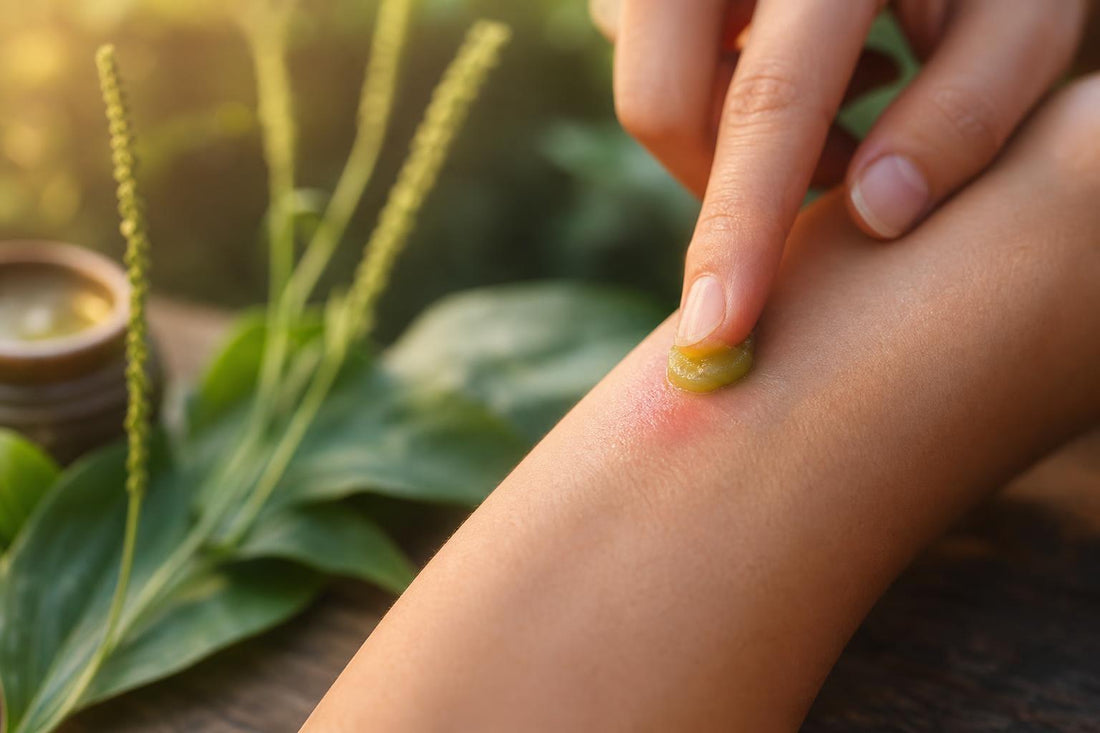 Application d’un baume à base de plantain sur une petite zone de peau irritée après une piqûre, avec des feuilles et herbes en arrière-plan flou.