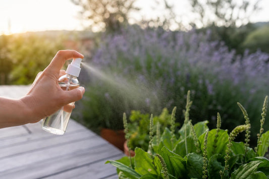Pulvérisation d’un spray anti-moustiques en extérieur, avec lavande et feuilles de plantain en arrière-plan, illustrant l’utilisation et les précautions.