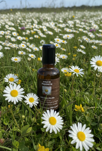 Huile de Pâquerettes Bio- L'élixir floral qui réveille, tonifie et satine la peau