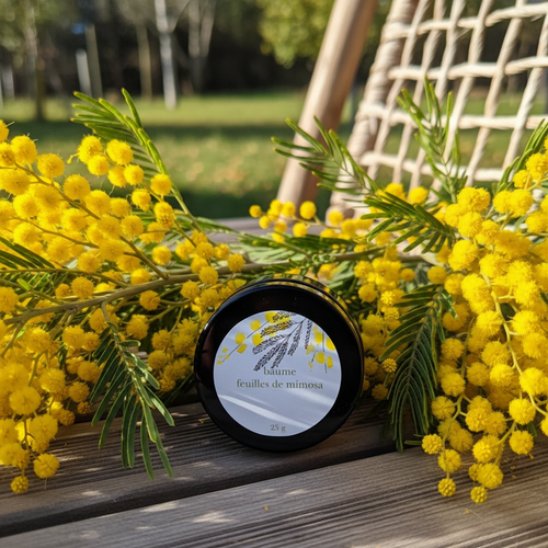 Baume mimosa - contexte naturel